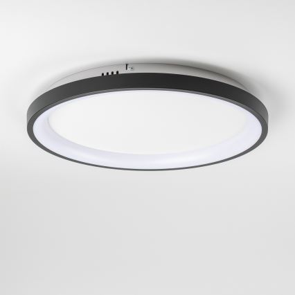 Brilagi - LED димируем тънък таванен плафон FALCON SLIM LED/42W/230V 3000-6500K Ø 50 см черен + с дистанционно управление
