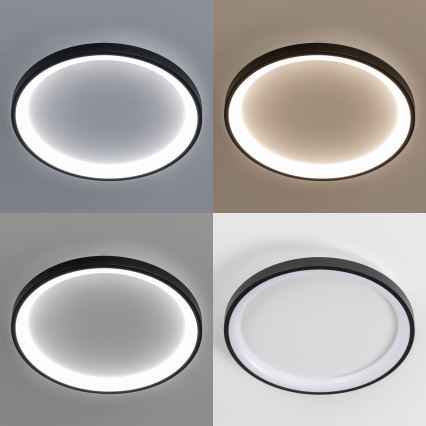 Brilagi - LED димируем тънък таванен плафон FALCON SLIM LED/42W/230V 3000-6500K Ø 50 см черен + с дистанционно управление