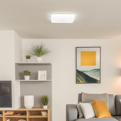 Brilagi - LED Димируем плафон OPAL LED/24W/230V 3000/4000/6500K + дистанционно управление