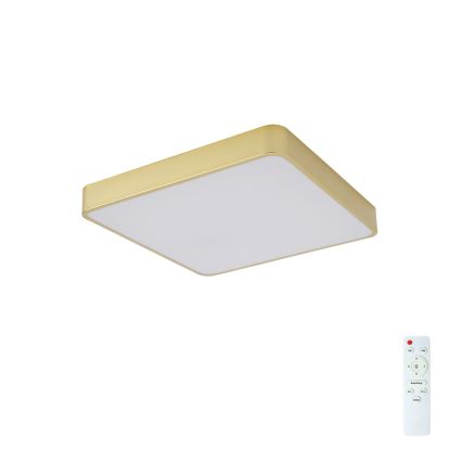 BRILAGI - LED димируемо таванно осветително тяло POOL SQUARE LED/48W/230V 3000-6000K 50x50 см златно + дистанционно управление