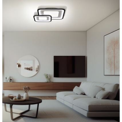 Brilagi - LED Димируем плафон TANDORA LED/49W/230V 3000/4000/6000K + дистанционно управление