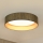 Brilagi - LED Димируем плафон VEGAS SHINE LED/24W/230V 3000/4000/6500K слама кафяв/златист + дистанционно управление
