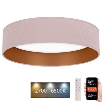 Brilagi - LED Димируем плафон VELVET SMART LED/36W/230V Ø 55 см 2700-6500K Wi-Fi Tuya розов/златист + дистанционно управление