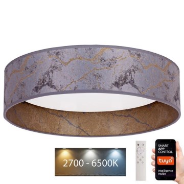 Brilagi - LED Димируем плафон VELVET SMART LED/36W/230V Ø 55 см 2700-6500K Wi-Fi Tuya сив/златист + дистанционно управление