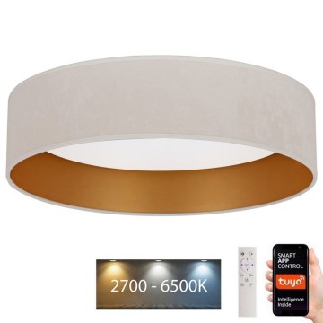 Brilagi - LED Димируем плафон VELVET SMART LED/36W/230V Ø 55 см 2700-6500K Wi-Fi Tuya кремав/златист + дистанционно управление