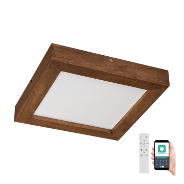 Brilagi - LED Димируем плафон за баня WOODY FRAME LED/24W/230V дъб череша 30x30 см 3000-6000K IP44 + дистанционно управление