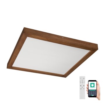 Brilagi - LED Димируем плафон за баня WOODY FRAME LED/50W/230V дъб череша 60x60 см 3000-6000K IP44 + дистанционно управление
