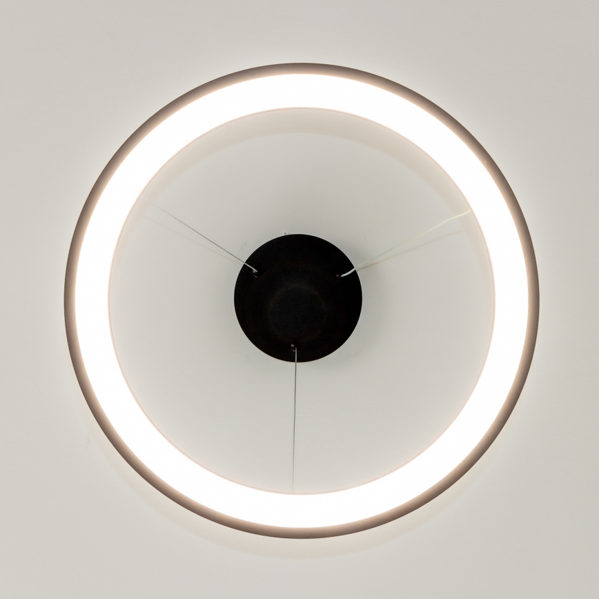 Brilagi - LED димируем полилей на трос FALCON SLIM LED/42W/230V 3000-6500K Ø 50 см черен + дистанционно управление