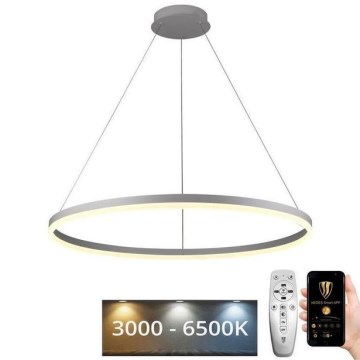 Brilagi - LED димируем полилей на кабел CIRCLE LED/55W/230V 3000-6500K Ø 80 см бял + дистанционно управление