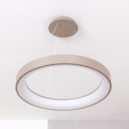 BRILAGI - димируема LED полилей на кабел FALCON II LED/99W/230V 3000-6500K Ø 60 cm бежов + дистанционно управление