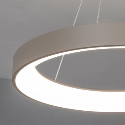 BRILAGI - димируема LED полилей на кабел FALCON II LED/99W/230V 3000-6500K Ø 60 cm бежов + дистанционно управление