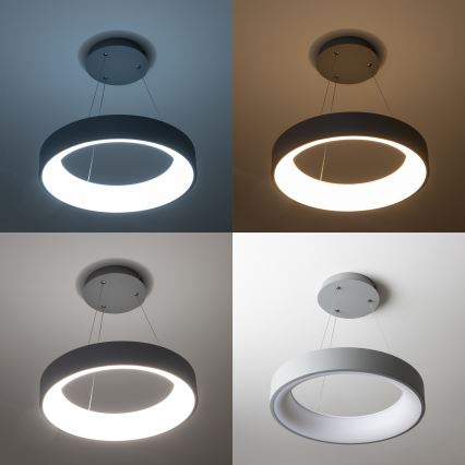 Brilagi - LED димируем полилей на кабел FALCON LED/80W/230V 3000-6500K Ø 60 см сив + дистанционно управление