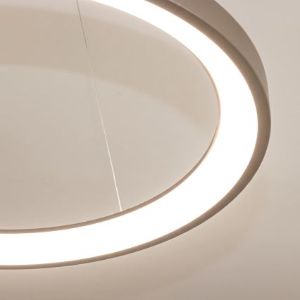 BRILAGI - LED димируема висяща лампа на кабел FALCON SLIM LED/42W/230V 3000-6500K Ø 50 см бежова + с дистанционно управление