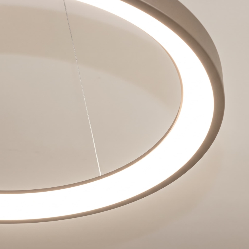 BRILAGI - LED димируема висяща лампа на кабел FALCON SLIM LED/42W/230V 3000-6500K Ø 50 см бежова + с дистанционно управление