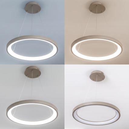 BRILAGI - LED димируема висяща лампа на кабел FALCON SLIM LED/42W/230V 3000-6500K Ø 50 см бежова + с дистанционно управление