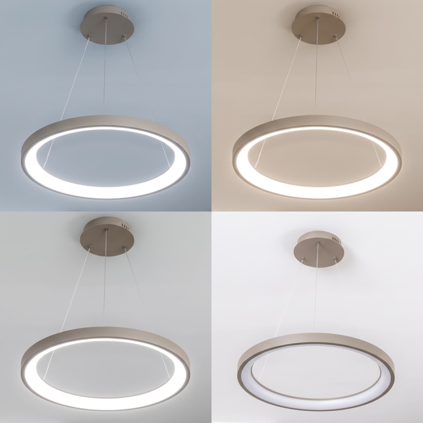 BRILAGI - LED димируема висяща лампа на кабел FALCON SLIM LED/42W/230V 3000-6500K Ø 50 см бежова + с дистанционно управление