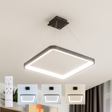 Brilagi - LED димируем полилей на кабел FALCON SLIM LED/50W/230V 3000-6500K 50x50 cm черен + дистанционно управление