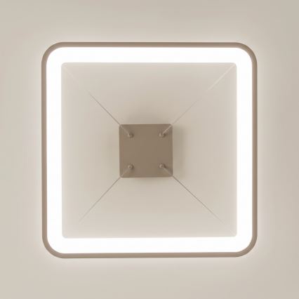 BRILAGI - LED Димируем полилей на кабел FALCON SLIM LED/50W/230V 3000-6500K 50x50 cm бежов + дистанционно управление