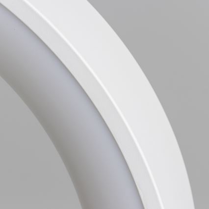 Brilagi - Димируем LED полилей на кабелно окачване FALCON LED/40W/230V 3000-6500K диаметър 45 см бял + дистанционно управление