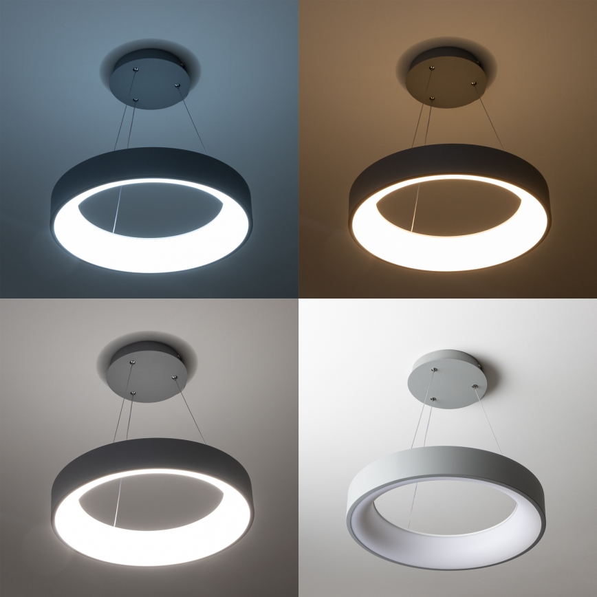 Brilagi - Димируема LED полилей на кабел FALCON LED/40W/230V 3000-6500K Ø 45 cm сив + дистанционно управление