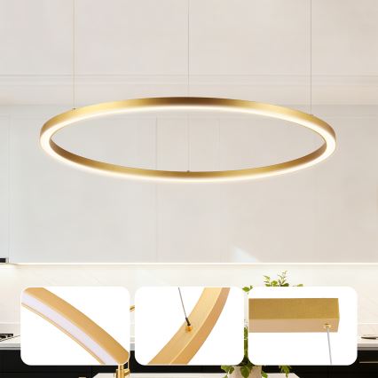 Brilagi - димируем LED полилей на кабел PORTOFINO, LED/60W/230V, 3000-6000K, Ø 80 см, златен + дистанционно управление