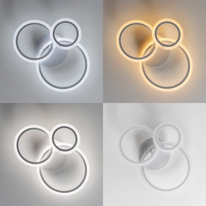 Brilagi - LED Димируем полилей за повърхностен монтаж ORBITS LED/40W/230V 3000-6500K бял + дистанционно управление