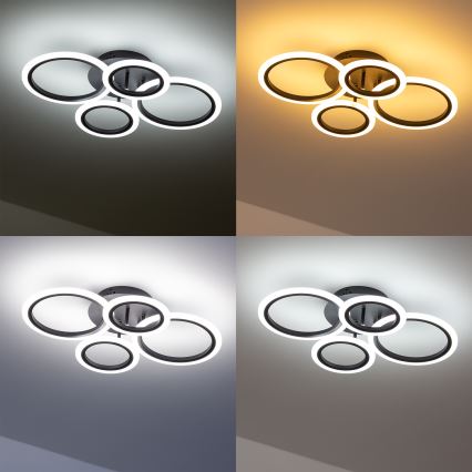 Brilagi - LED Димируем полилей за повърхностен монтаж ORBITS LED/50W/230V 3000-6500K антрацит + дистанционно управление