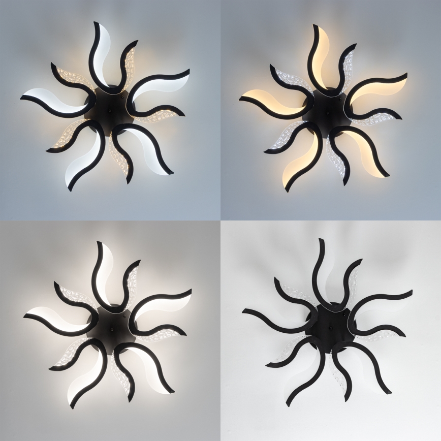 Brilagi - LED Димируем полилей за повърхностен монтаж TWIST LED/65W/230V 3000-6500K черен + дистанционно управление