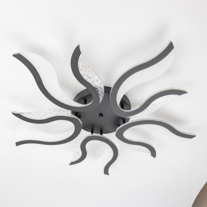 Brilagi - LED Димируем полилей за повърхностен монтаж TWIST LED/65W/230V 3000-6500K черен + дистанционно управление