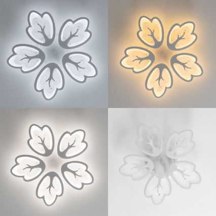 Brilagi - LED Димируем полилей за повърхностен монтаж TWIST LED/80W/230V 3000-6500K бял + дистанционно управление
