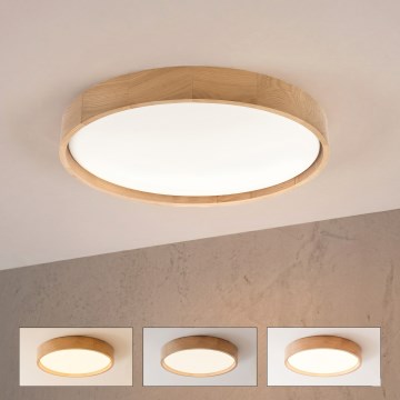 Brilagi - LED димируем таванен плафон MANAROLA REMOTE LED/36W/230V 3000-6500K Ø 51 см дъб + дистанционно управление