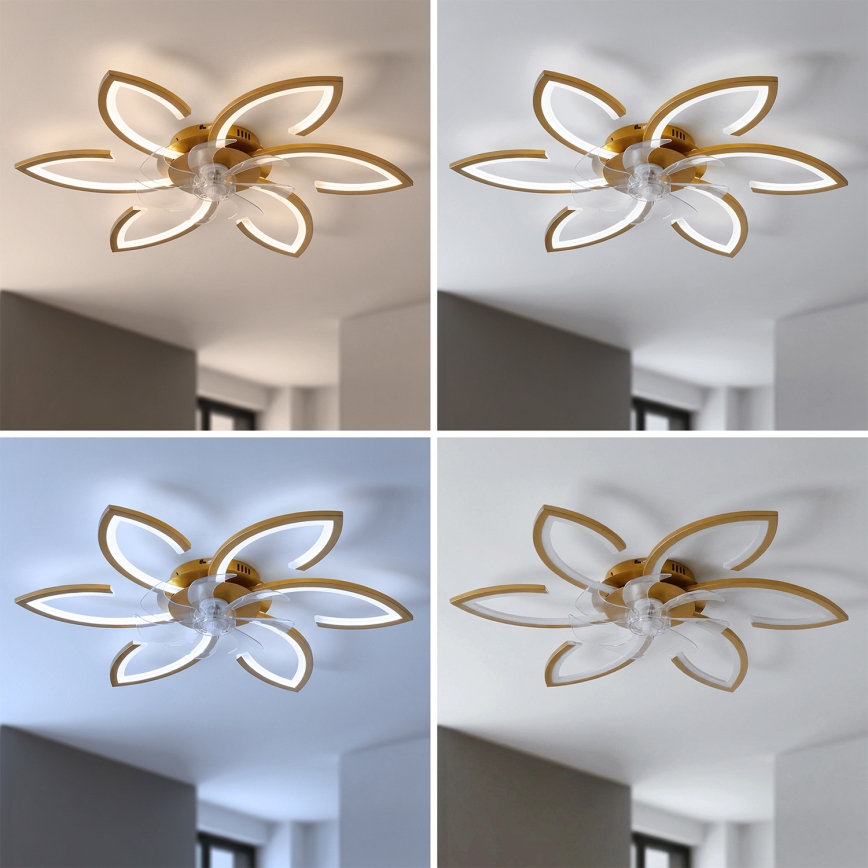 Brilagi - LED таванен вентилатор с димируемо осветление, 34W/230V, 3000–6500K, диаметър 78 cm, златен, с дистанционно управление