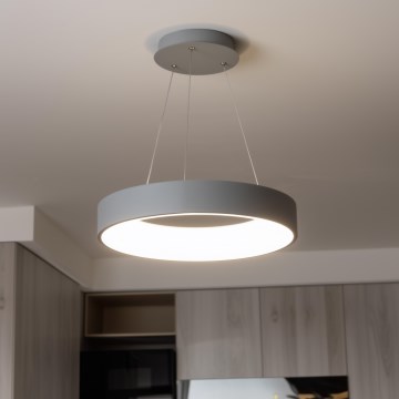 Brilagi - LED Димируем висящ полилей FALCON LED/80W/230V 3000-6500K Ø 60 см сив + дистанционно