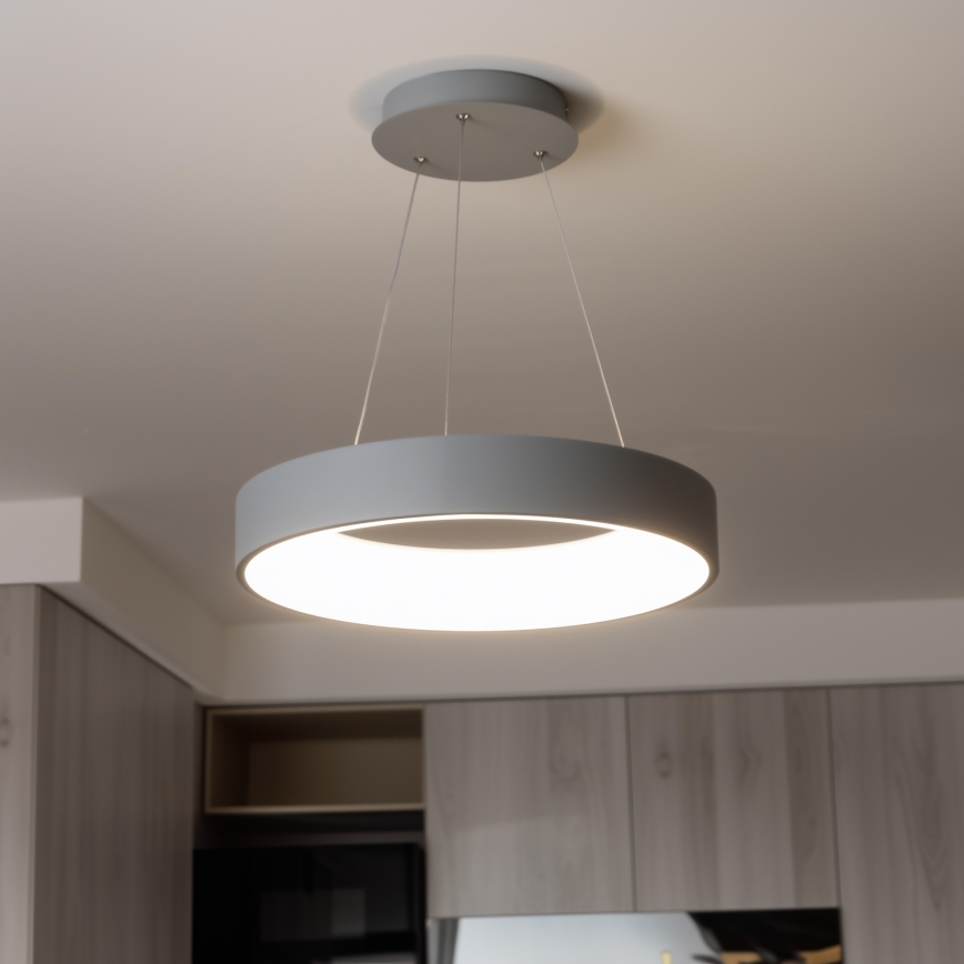 Brilagi - LED Димируем висящ полилей FALCON LED/80W/230V 3000-6500K Ø 60 см сив + дистанционно