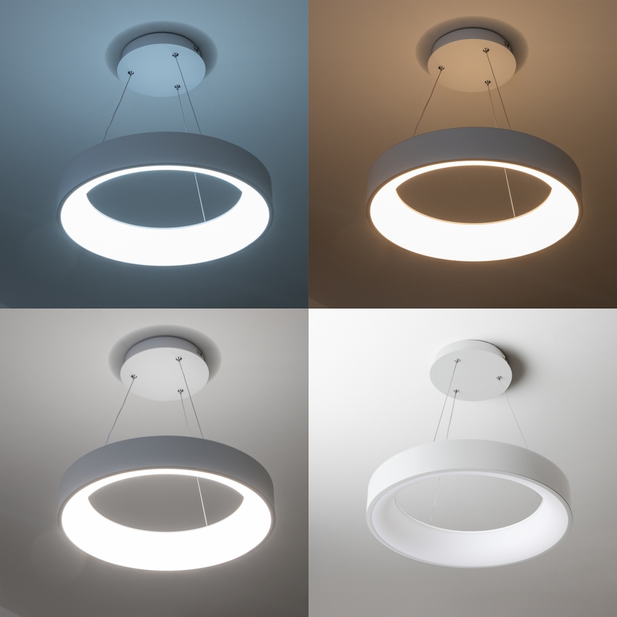 Brilagi - LED Димируем висящ полилей FALCON LED/40W/230V 3000-6500K Ø 45 см бял + дистанционно
