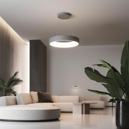 Brilagi - LED Димируем висящ полилей FALCON LED/40W/230V 3000-6500K Ø 45 см сив + дистанционно