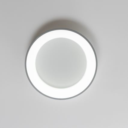 Brilagi - LED Димируема лампа FALCON LED/80W/230V 3000-6500K Ø 60 см сива + дистанционно