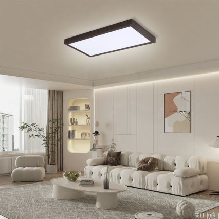 Brilagi - LED Димируем плафон за баня FRAME SMART LED/30W/230V 30x60 см 3000-6000K  IP44 черен  + дистанционно управление