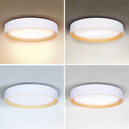 Brilagi - LED Димируем плафон LARIOS LED/60W/230V 3000-6500K ø 49 см бял + дистанционно управление