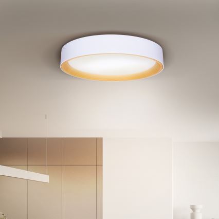 Brilagi - LED Димируем плафон LARIOS LED/60W/230V 3000-6500K ø 49 см бял + дистанционно управление