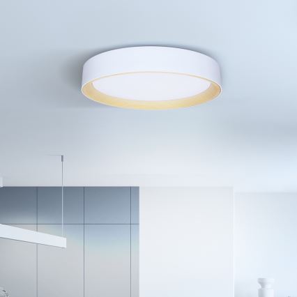 Brilagi - LED Димируем плафон LARIOS LED/60W/230V 3000-6500K ø 49 см бял + дистанционно управление