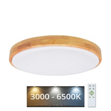 Brilagi - LED Димируема лампа PINE  LED/24W/230V 3000-6500K + дистанционно