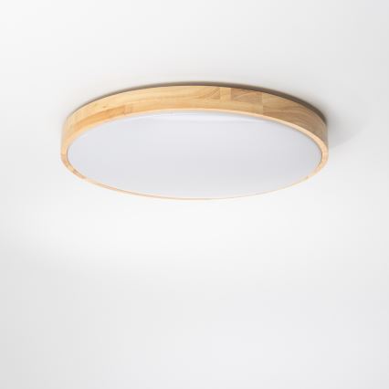 Brilagi - LED Димируема лампа PINE  LED/24W/230V 3000-6500K + дистанционно