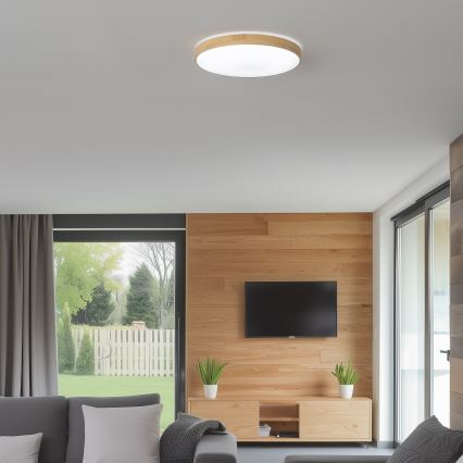 Brilagi - LED Димируема лампа PINE  LED/24W/230V 3000-6500K + дистанционно