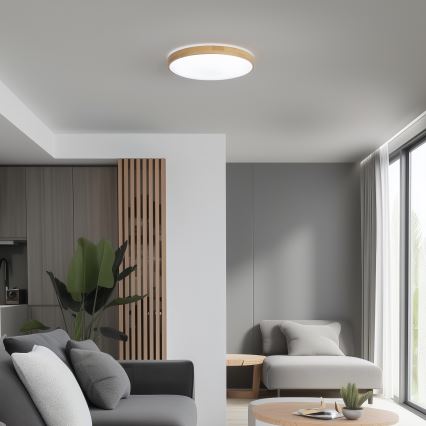 Brilagi - LED Димируема лампа PINE  LED/24W/230V 3000-6500K + дистанционно
