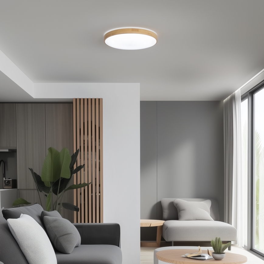 Brilagi - LED Димируема лампа PINE  LED/24W/230V 3000-6500K + дистанционно