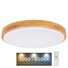 Brilagi - LED Димируема лампа PINE LED/60W/230V 3000-6500K + дистанционно
