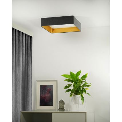 Brilagi - LED Димируем плафон VELVET SQUARE LED/24W/230V 3000/4000/6500K + дистанционно управление сив