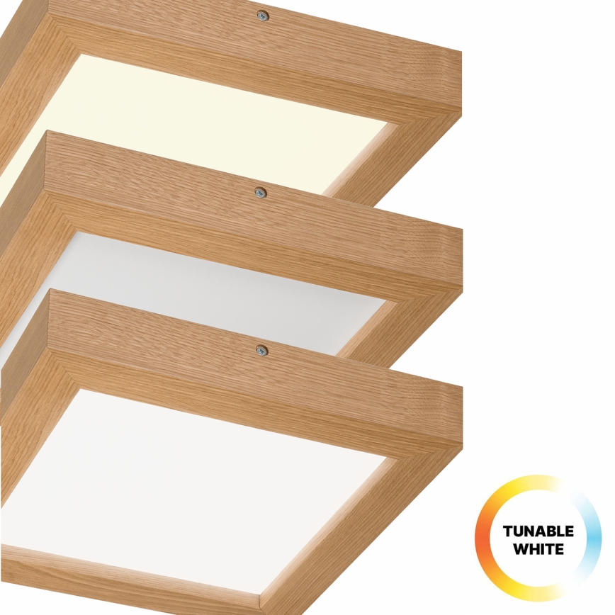 Brilagi - LED Димируем плафон за баня WOODY FRAME LED/24W/230V дъб 30x30 см 3000-6000K IP44 + дистанционно управление