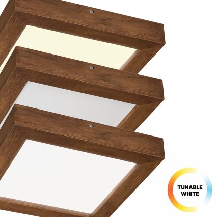 Brilagi - LED Димируем плафон за баня WOODY FRAME LED/24W/230V дъб череша 30x30 см 3000-6000K IP44 + дистанционно управление